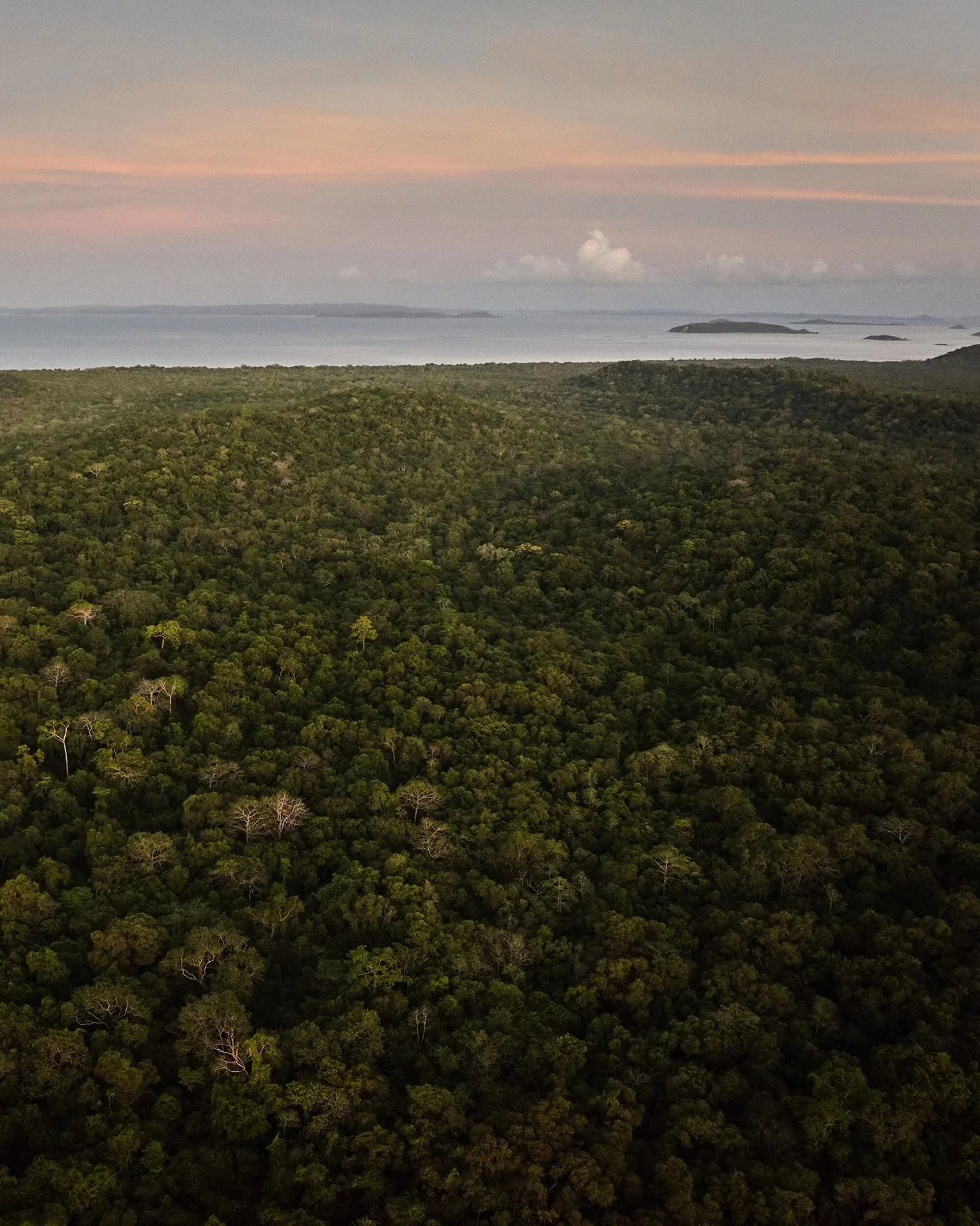 Our environmental impact